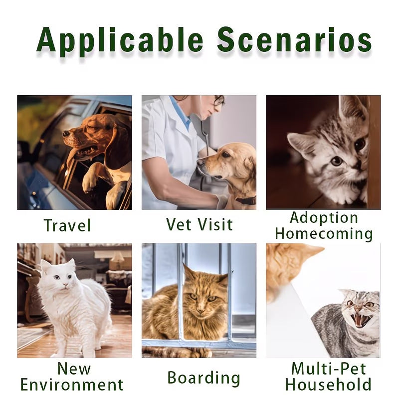 Calming Spray for Pets – Effective Natural Relief for Dog & Cat Anxiety